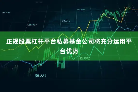 正规股票杠杆平台私募基金公司将充分运用平台优势
